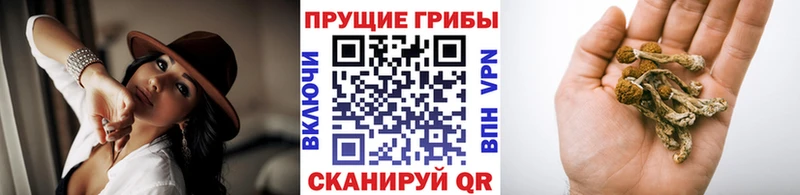 продажа наркотиков  Симферополь  Псилоцибиновые грибы прущие грибы 