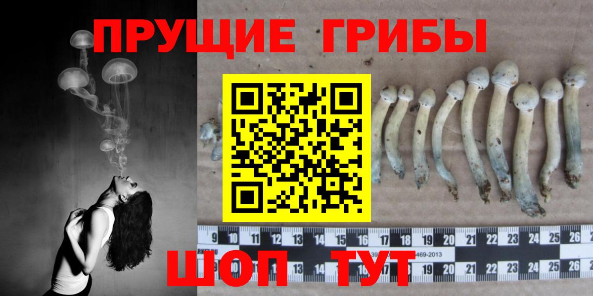 Галлюциногенные грибы ЛСД Симферополь