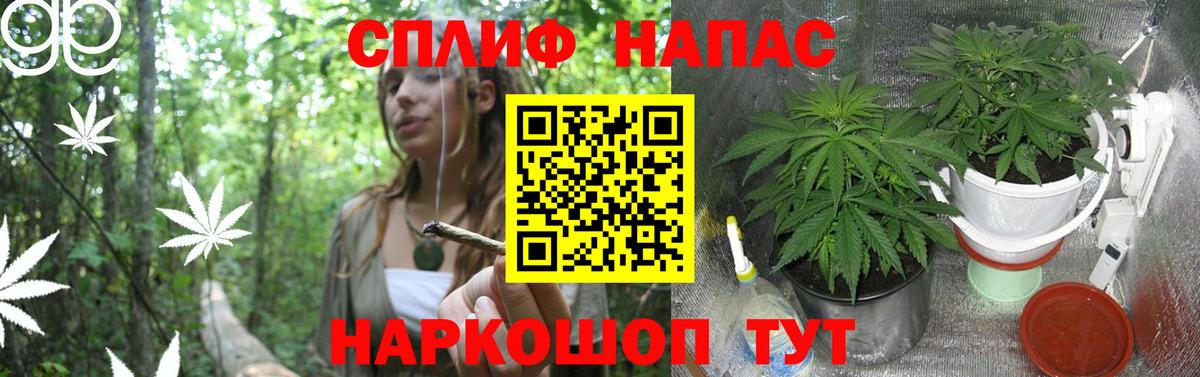 Бошки марихуана индика  Конопля OG Kush  Конопля LSD WEED  Симферополь 